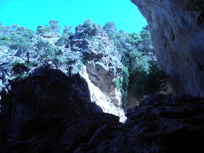 Foto  donde estaba la cabrilla en la ruta anterior a Las Grajas.