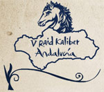 V RAID KALIBER ANDALUCIA