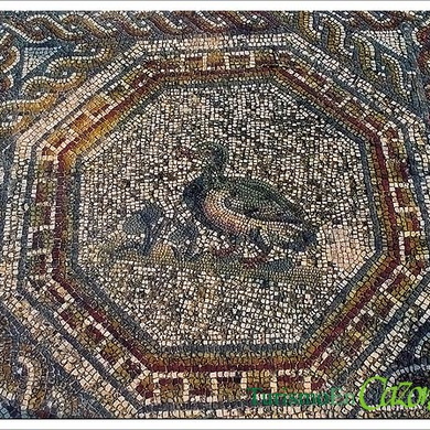 Mosaico Anades